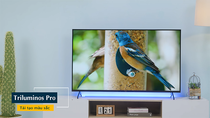 So sánh thương hiệu TV Vizio với Sony