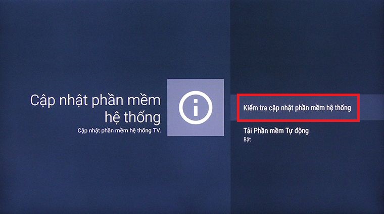 Kiểm tra cập nhật phần mềm hệ thống.
